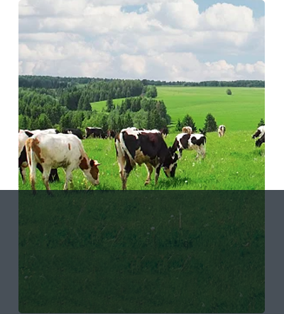 application-nr4