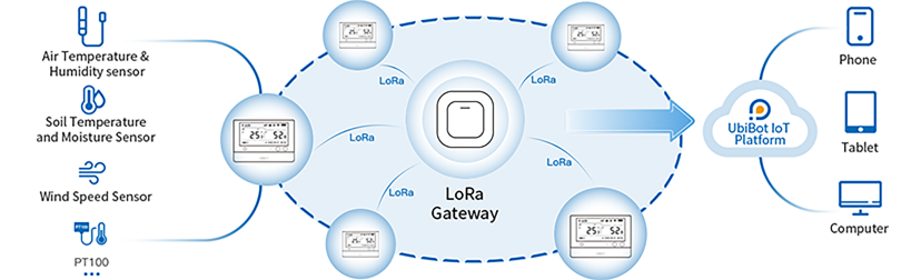xs-ws1prol-Connectivity